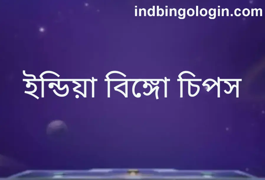 India Bingo Chips Review 2025: Withdrawal, KYC Security, Real or Fake - Ind Bingo