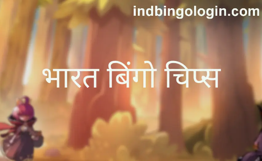 India Bingo Chips Review 2025: Withdrawal, KYC Security, Real or Fake - Ind Bingo