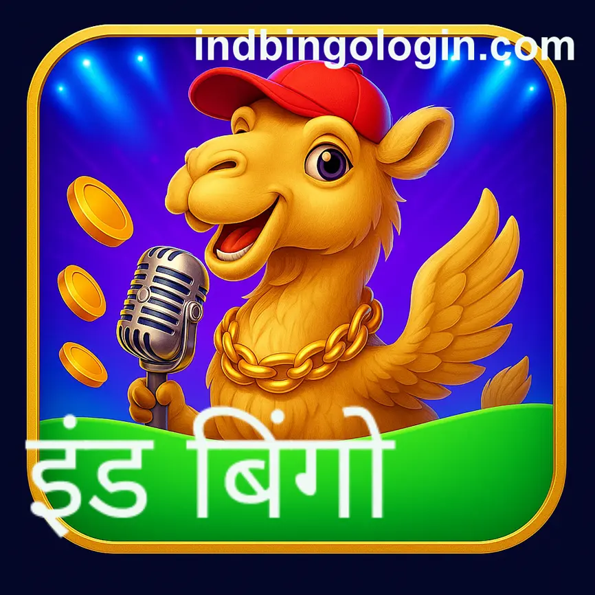 Ind Bingo secure payment options for Indian users